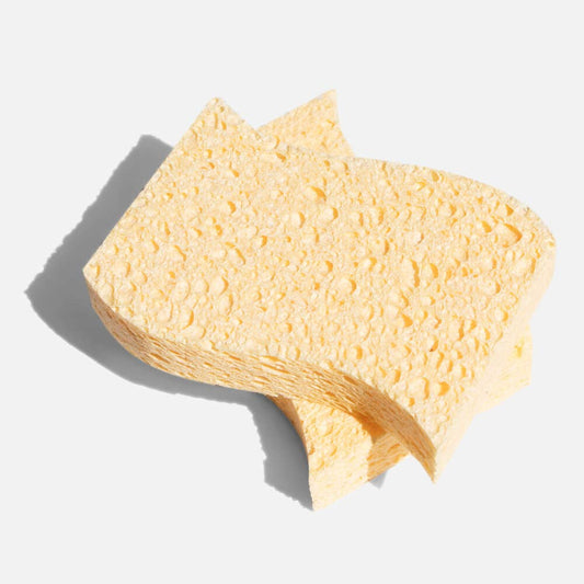 Biodegradable Kitchen Sponge